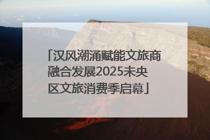 汉风潮涌赋能文旅商融合发展2025未央区文旅消费季启幕