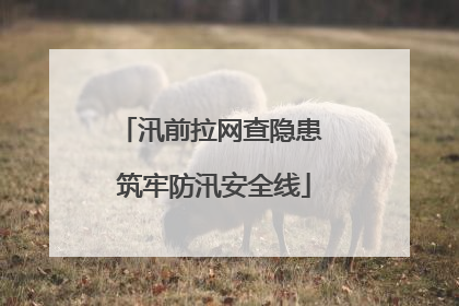 汛前拉网查隐患 筑牢防汛安全线