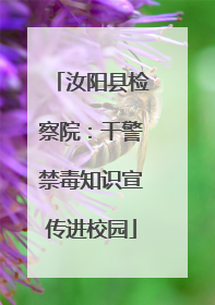 汝阳县检察院：干警禁毒知识宣传进校园