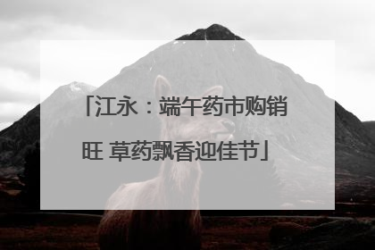 江永：端午药市购销旺 草药飘香迎佳节