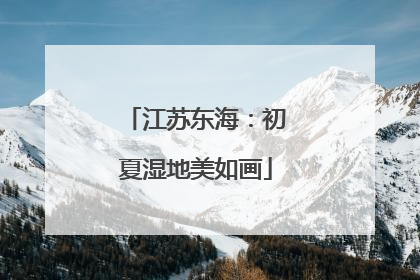 江苏东海：初夏湿地美如画