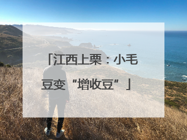 江西上栗：小毛豆变“增收豆”
