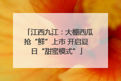 江西九江：大棚西瓜抢“鲜”上市 开启夏日“甜蜜模式”