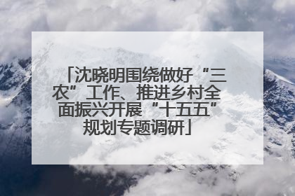 沈晓明围绕做好“三农”工作、推进乡村全面振兴开展“十五五”规划专题调研