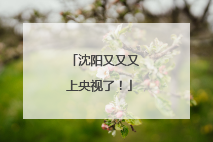 沈阳又又又上央视了！