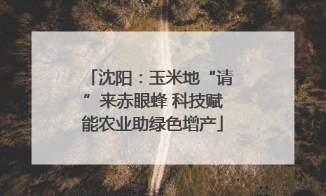 沈阳：玉米地“请”来赤眼蜂 科技赋能农业助绿色增产