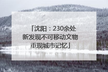 沈阳：230余处新发现不可移动文物重现城市记忆