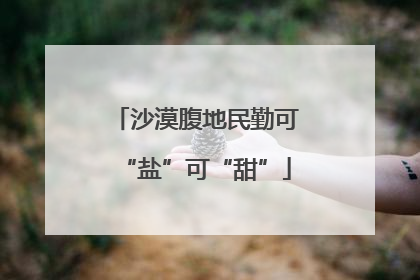 沙漠腹地民勤可“盐”可“甜”