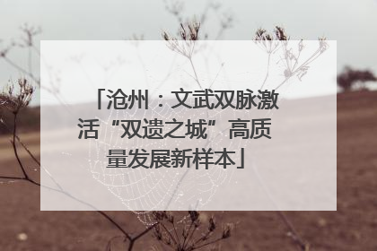 沧州：文武双脉激活“双遗之城”高质量发展新样本