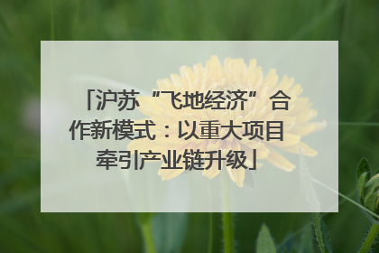 沪苏“飞地经济”合作新模式：以重大项目牵引产业链升级