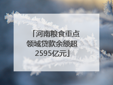 河南粮食重点领域贷款余额超2595亿元