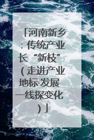 河南新乡：传统产业长“新枝”（走进产业地标·发展一线探变化）