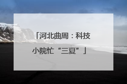 河北曲周：科技小院忙“三夏”