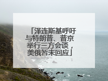 泽连斯基呼吁与特朗普、普京举行三方会谈，美俄暂未回应