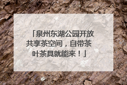 泉州东湖公园开放共享茶空间，自带茶叶茶具就能来！