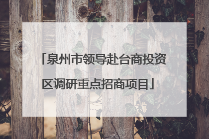 泉州市领导赴台商投资区调研重点招商项目