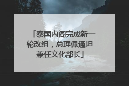 泰国内阁完成新一轮改组，总理佩通坦兼任文化部长