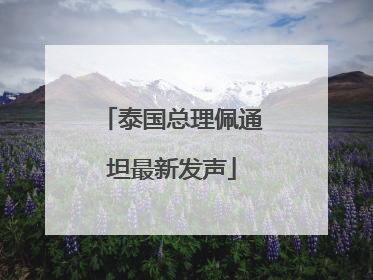 泰国总理佩通坦最新发声