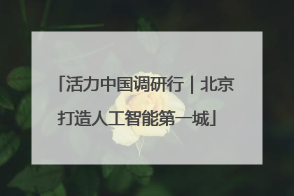 活力中国调研行｜北京打造人工智能第一城