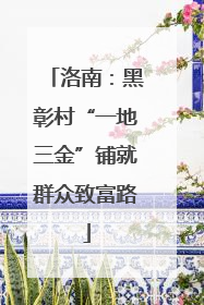 洛南：黑彰村“一地三金”铺就群众致富路