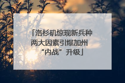 洛杉矶惊现新兵种 两大因素引爆加州“内战”升级