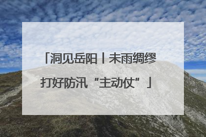 洞见岳阳丨未雨绸缪 打好防汛“主动仗”