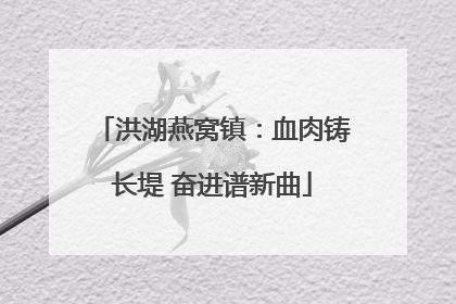 洪湖燕窝镇：血肉铸长堤 奋进谱新曲