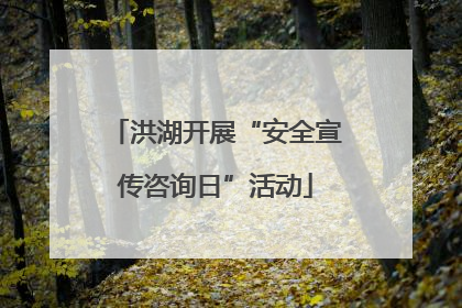洪湖开展“安全宣传咨询日”活动