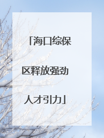 海口综保区释放强劲人才引力