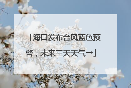 海口发布台风蓝色预警，未来三天天气→