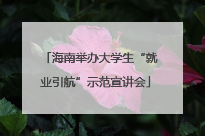 海南举办大学生“就业引航”示范宣讲会