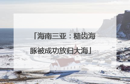 海南三亚：糙齿海豚被成功放归大海