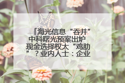 海光信息“吞并”中科曙光预案出炉 现金选择权太“鸡肋”？业内人士：企业不想大量现金流出