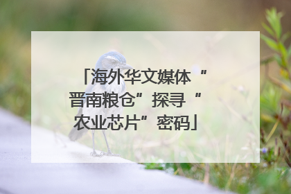 海外华文媒体“晋南粮仓”探寻“农业芯片”密码