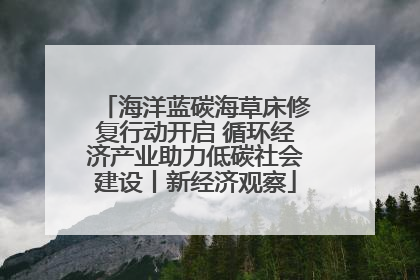 海洋蓝碳海草床修复行动开启 循环经济产业助力低碳社会建设丨新经济观察
