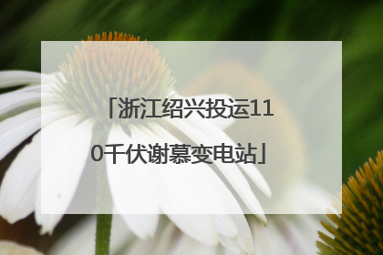 浙江绍兴投运110千伏谢慕变电站
