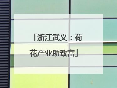 浙江武义：荷花产业助致富