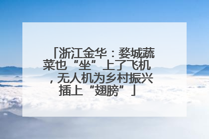 浙江金华：婺城蔬菜也“坐”上了飞机，无人机为乡村振兴插上“翅膀”