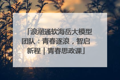 浪潮通软海岳大模型团队：青春逐浪，智启新程｜青春思政课