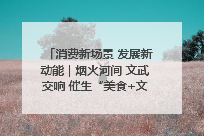 消费新场景 发展新动能｜烟火河间 文武交响 催生“美食+文化”消费新场景
