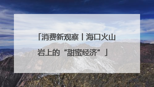 消费新观察丨海口火山岩上的“甜蜜经济”