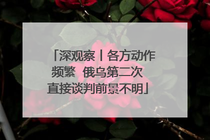 深观察丨各方动作频繁  俄乌第二次直接谈判前景不明