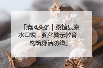 清风头条｜桑植县凉水口镇：强化警示教育 构筑廉洁防线