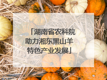 湖南省农科院助力湘东黑山羊特色产业发展