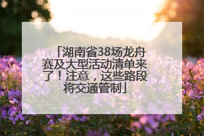 湖南省38场龙舟赛及大型活动清单来了！注意，这些路段将交通管制