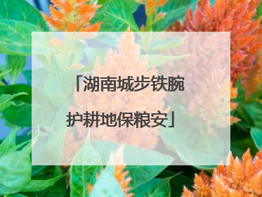 湖南城步铁腕护耕地保粮安