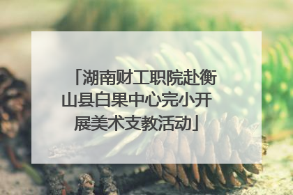 湖南财工职院赴衡山县白果中心完小开展美术支教活动