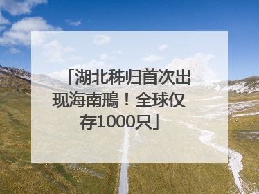 湖北秭归首次出现海南鳽！全球仅存1000只