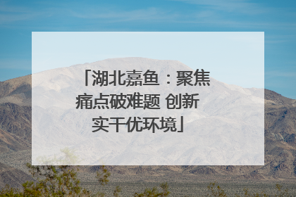 湖北嘉鱼：聚焦痛点破难题 创新实干优环境