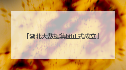湖北大数据集团正式成立
